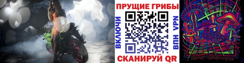 цена   Баксан  Галлюциногенные грибы ЛСД 
