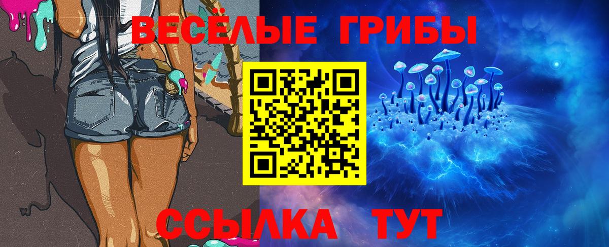 Псилоцибиновые грибы GOLDEN TEACHER  Вход с VPN  Баксан  Псилоцибиновые грибы Cubensis 