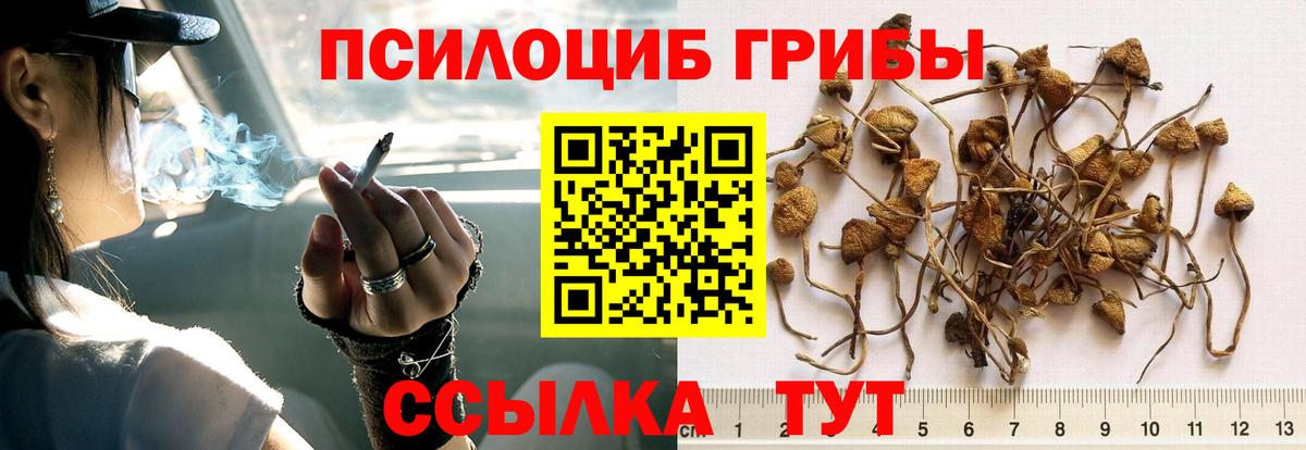 Галлюциногенные грибы Magic Shrooms Баксан